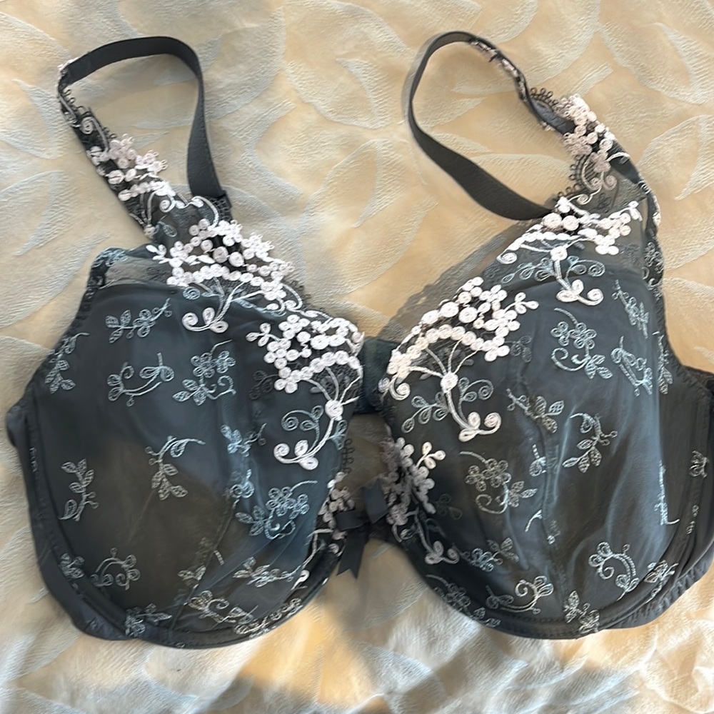 Sexy Simone Perele plunge bra.